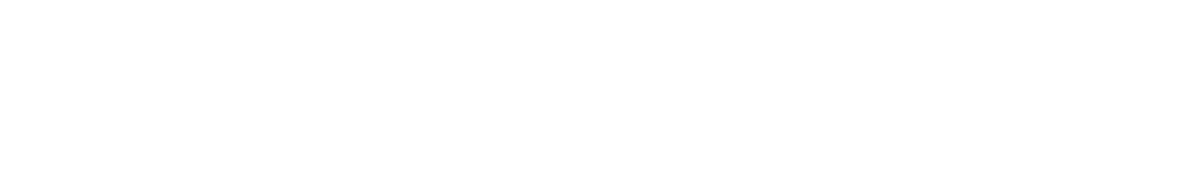 adam travel
